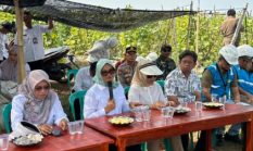 Bupati Ela Tinjau Program Listrik Masuk Sawah di Bumi Harja, Dorong Produktivitas Petani dan Ketahanan Pangan