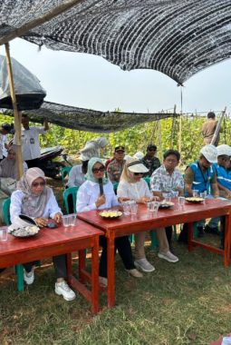 Bupati Ela Tinjau Program Listrik Masuk Sawah di Bumi Harja, Dorong Produktivitas Petani dan Ketahanan Pangan