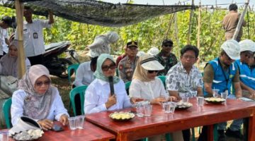 Bupati Ela Tinjau Program Listrik Masuk Sawah di Bumi Harja, Dorong Produktivitas Petani dan Ketahanan Pangan